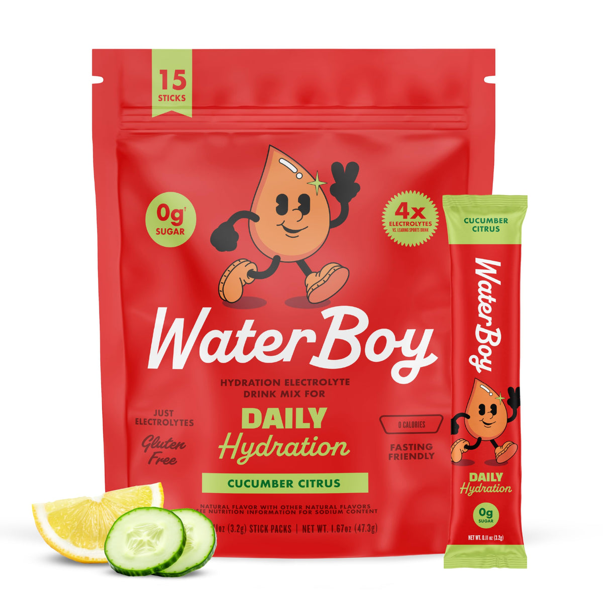 WaterBoy Daily Hydration Electrolyte Powder Drink Mix
