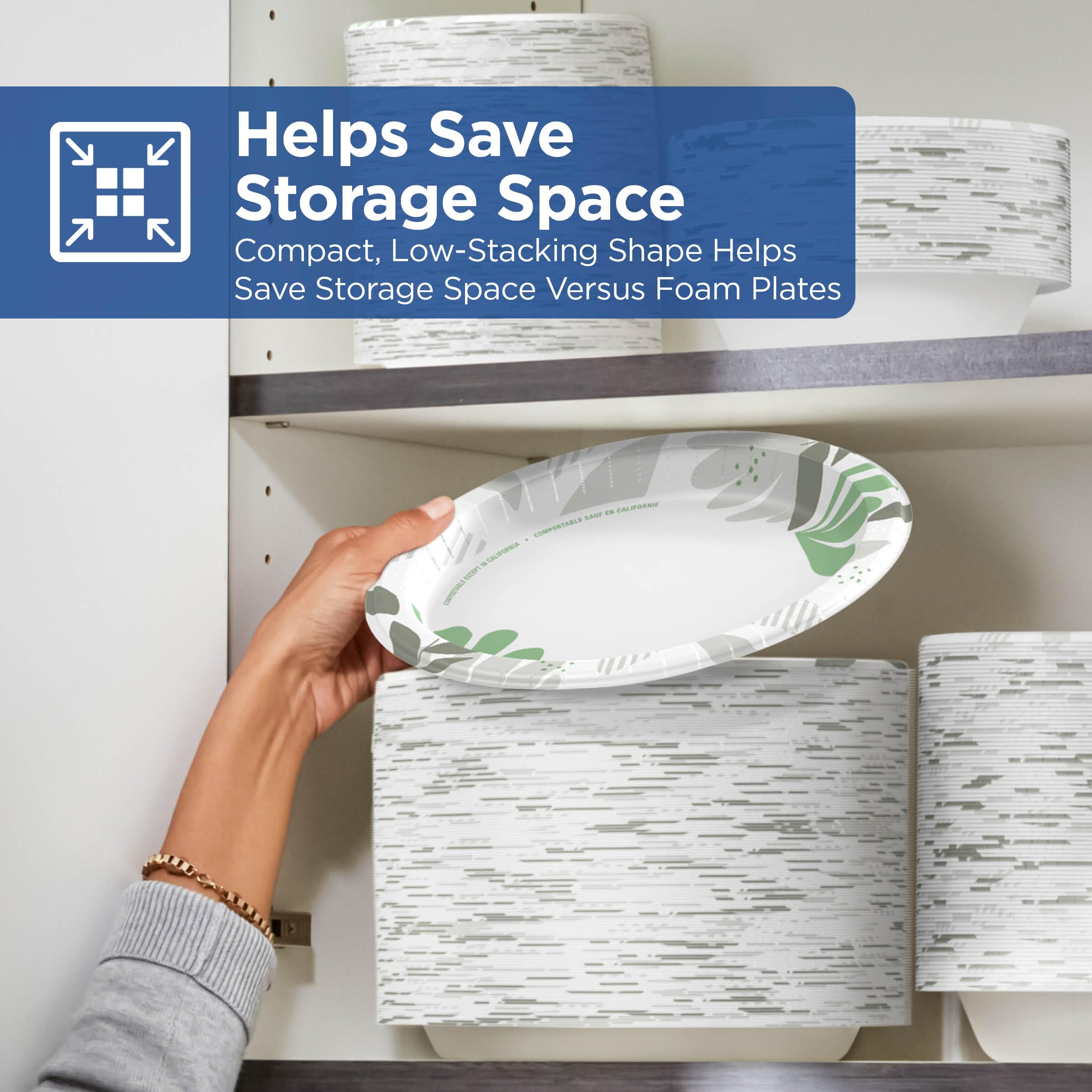 Dixie GP PRO Paper Plates | Compostable Soak-Proof

