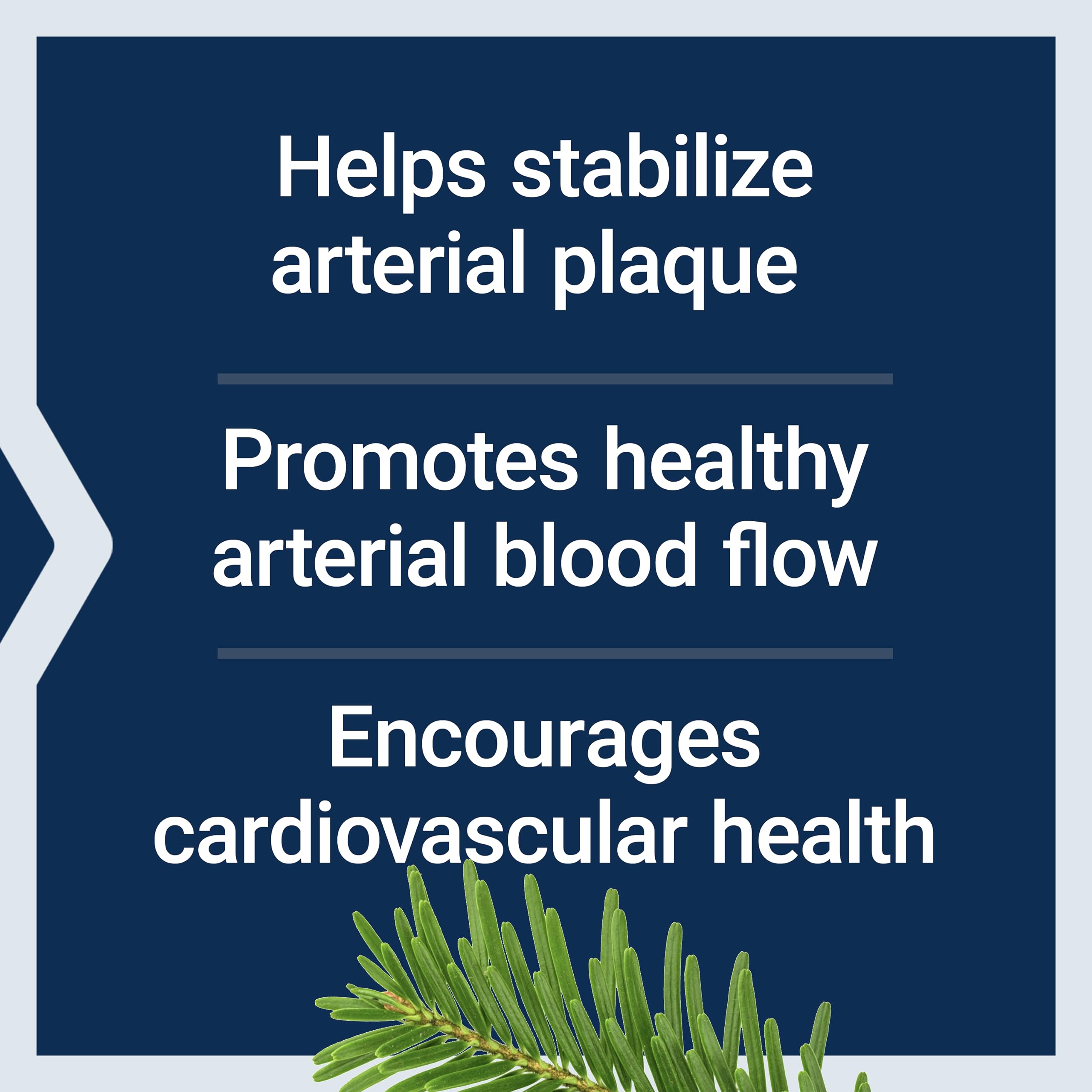 Life Extension Arterial Protect - Blood Pressure Support

