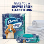 Charmin Flushable Wipes - Resealable, Portable

