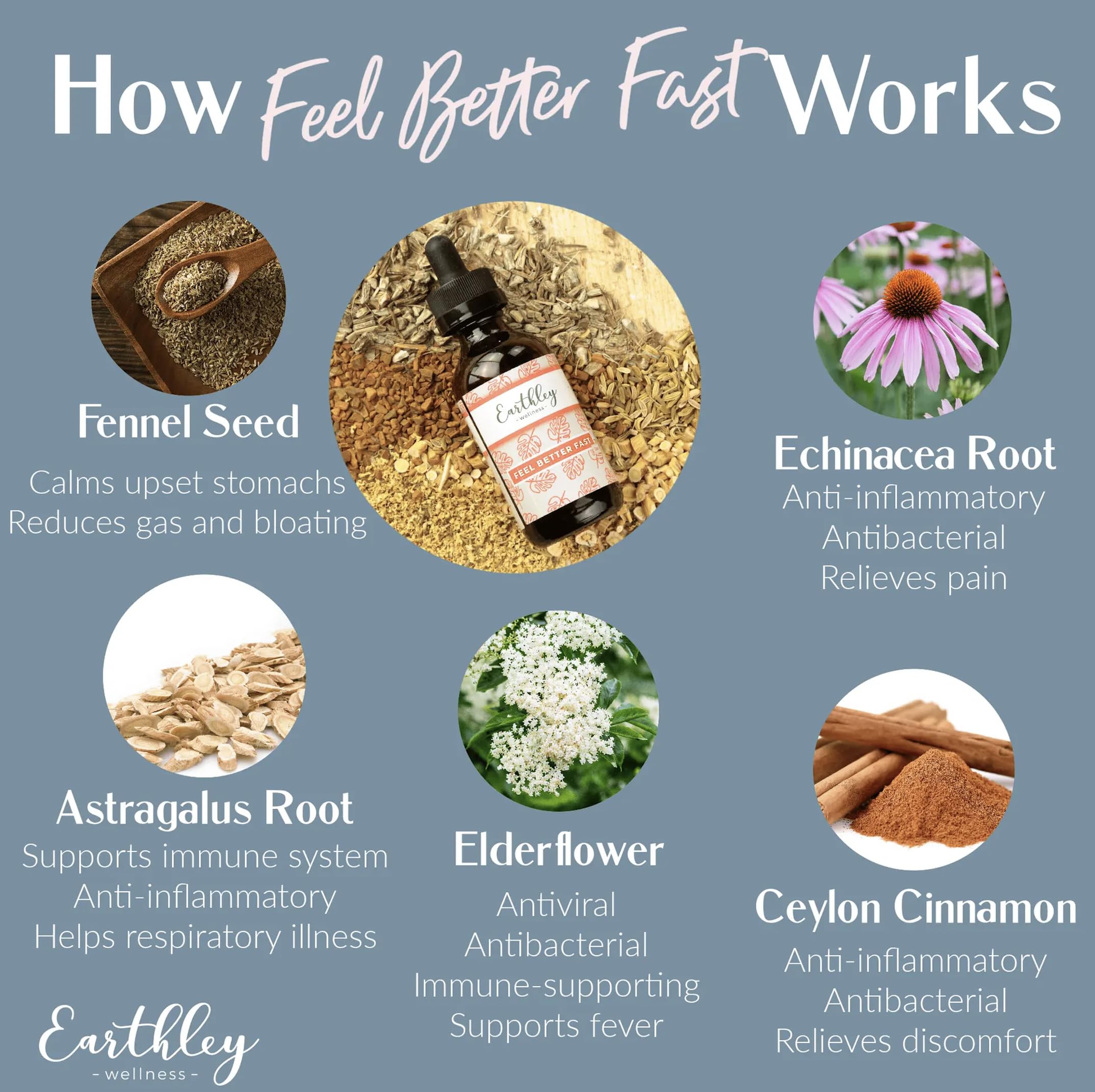 Earthley Feel Better Fast Herbal Remedy

