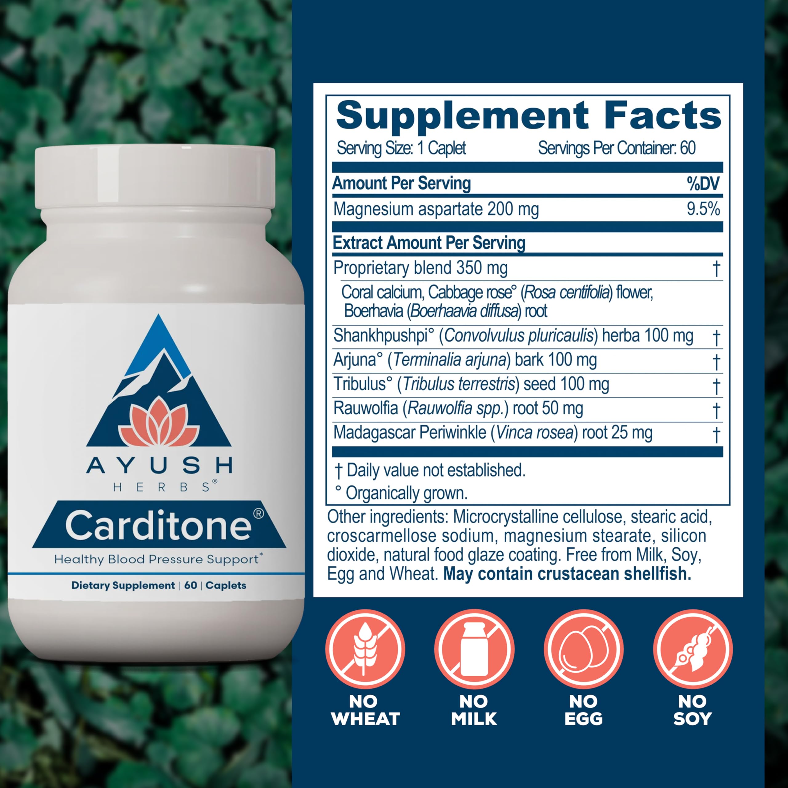 Ayush Herbs Carditone Heart Health Supplement

