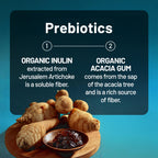 NatureWise Probiotics for Digestive & Immune Support

