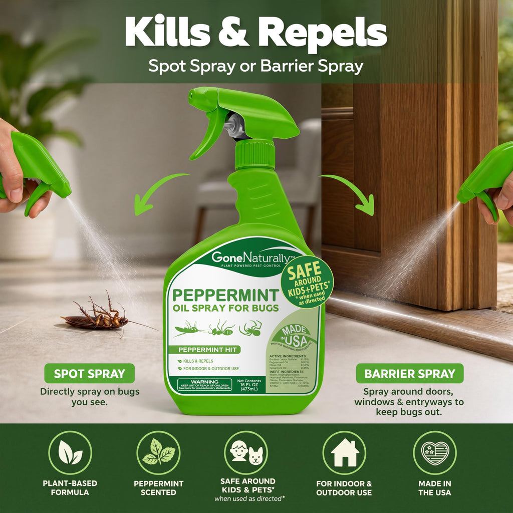 Plant-Based Bug Spray – Natural Insect Repellent

