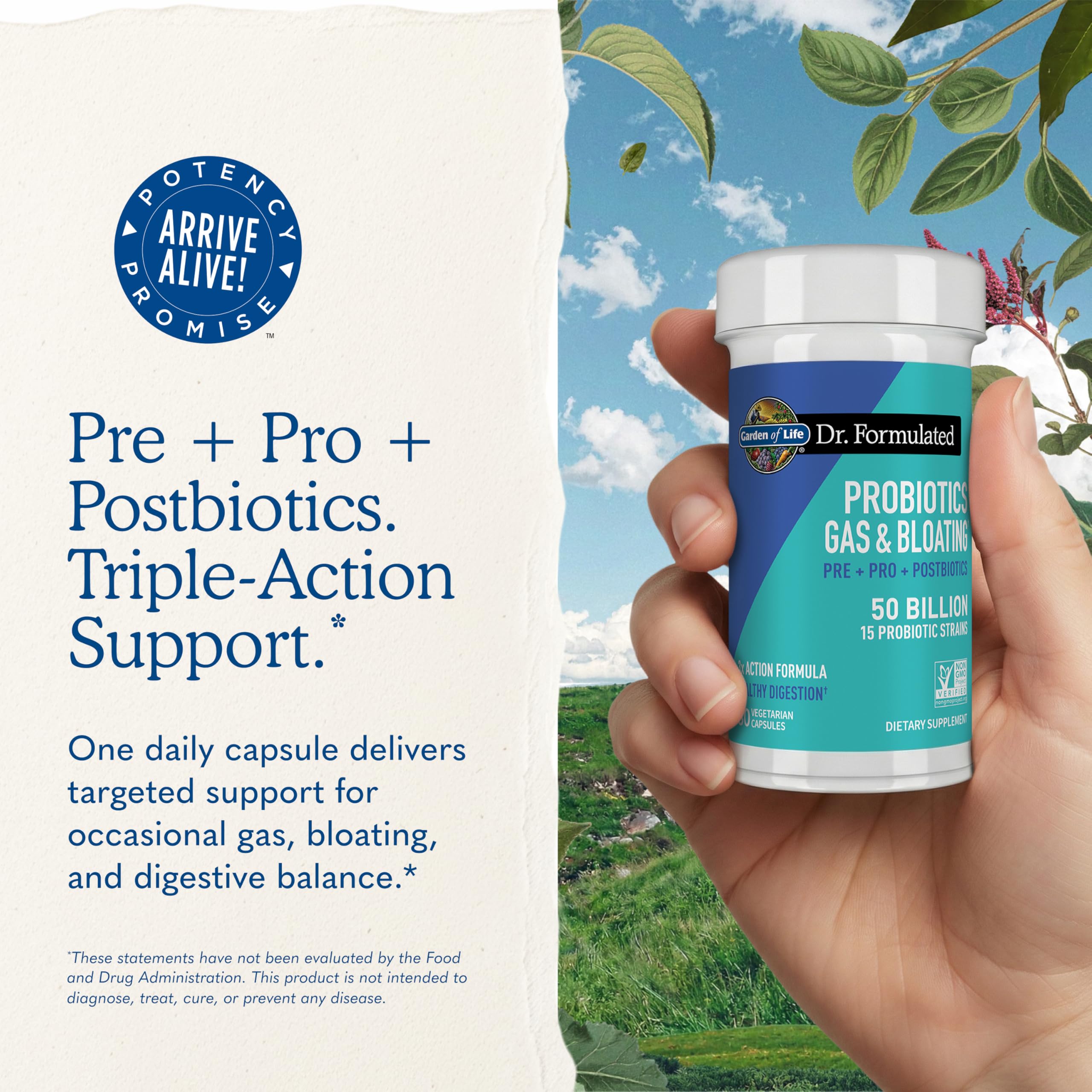 Probiotic Prebiotic Postbiotic Garden of Life Dr Formulated

