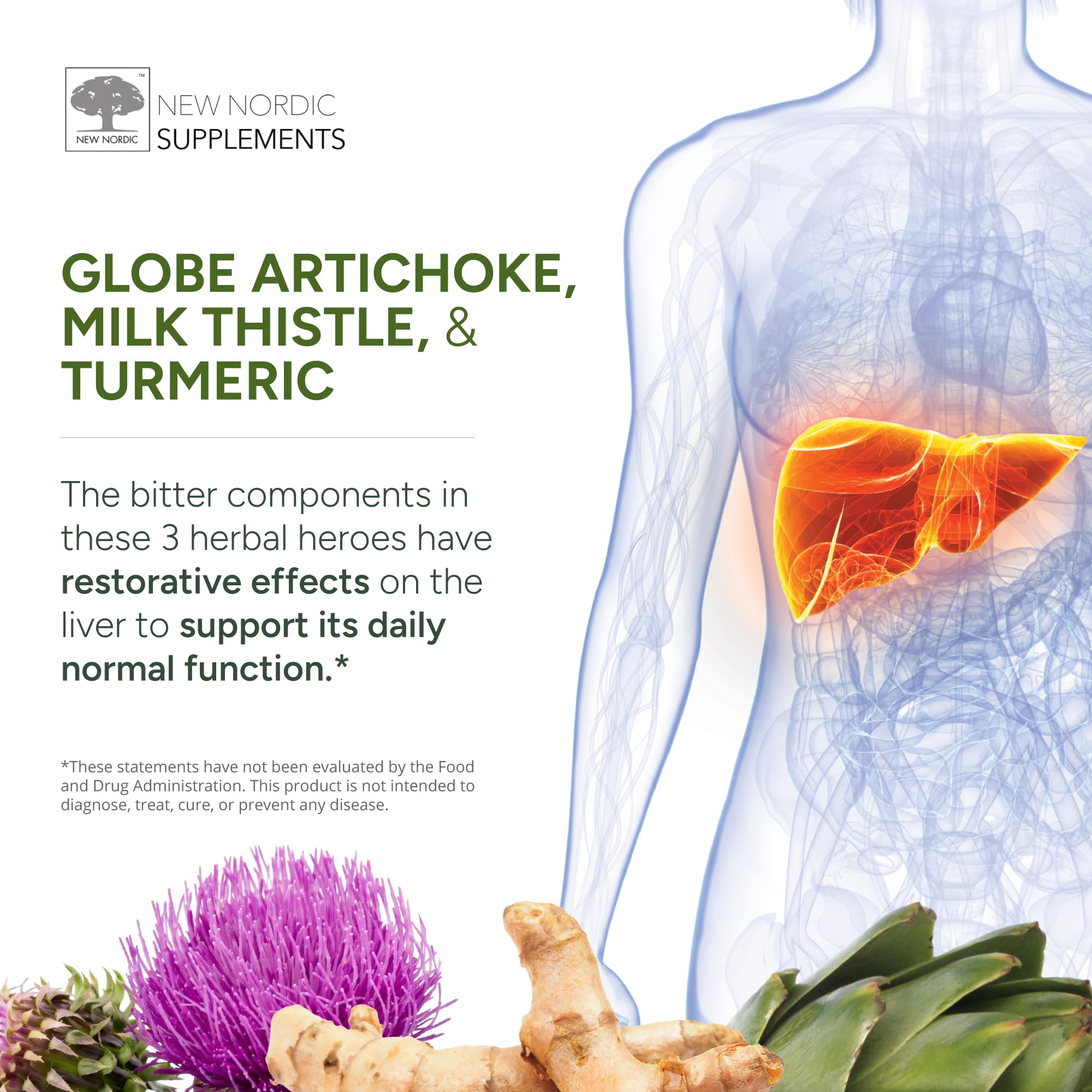 NEW NORDIC Active Liver Supplement with Milk Thistle


