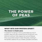 Evolve Plant Based Protein Shake Dairy Free Non-GMO

