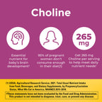 Nature Made Prenatal Vitamin + Choline DHA Folic Acid

