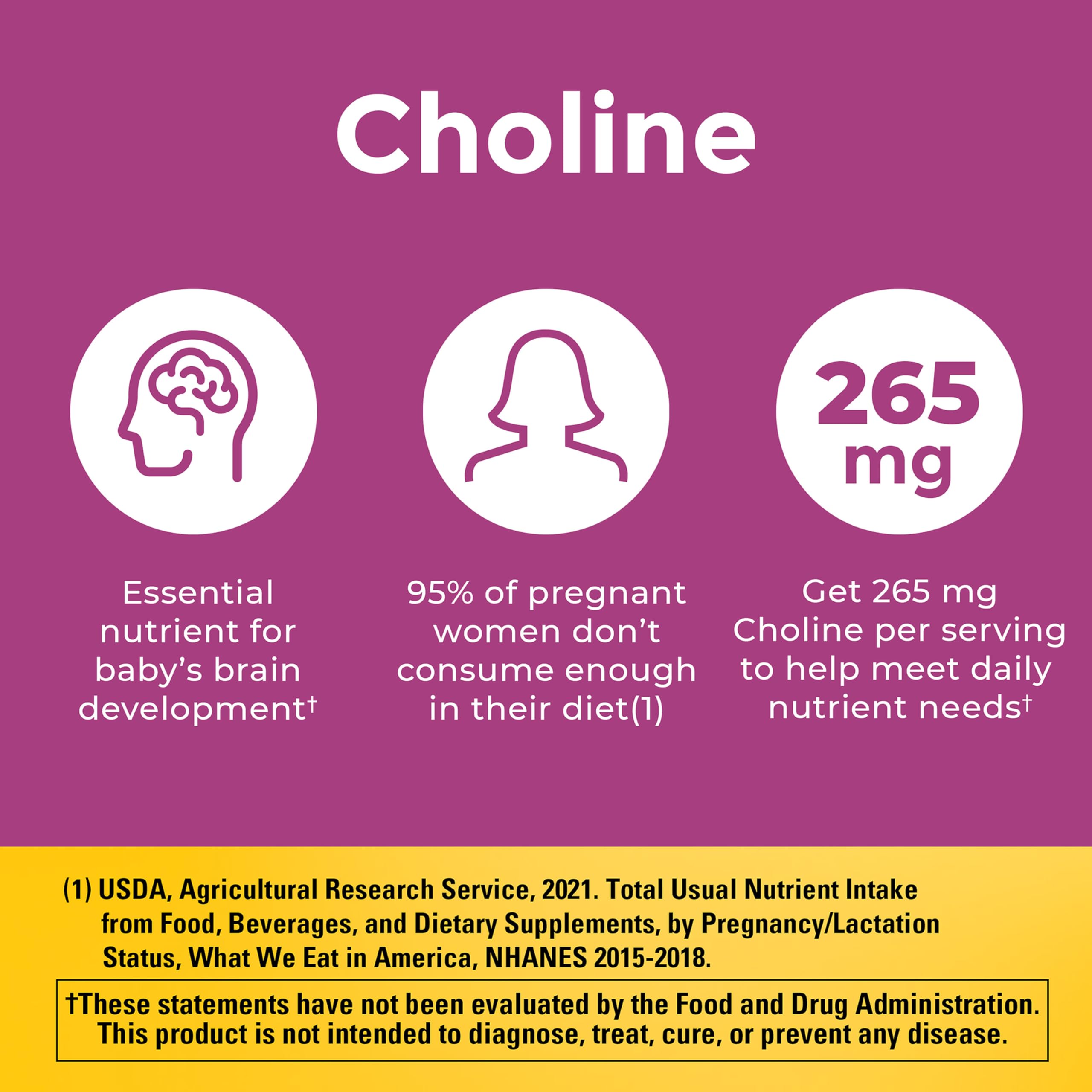 Nature Made Prenatal Vitamin + Choline DHA Folic Acid

