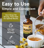 Mullein Drops with Ginger & Lemon for Lung Health

