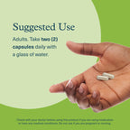 Youtheory Spore Probiotic for Gut Health with Prebiotics

