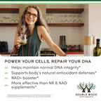 Double Wood NMNH NAD+ Booster Supplement

