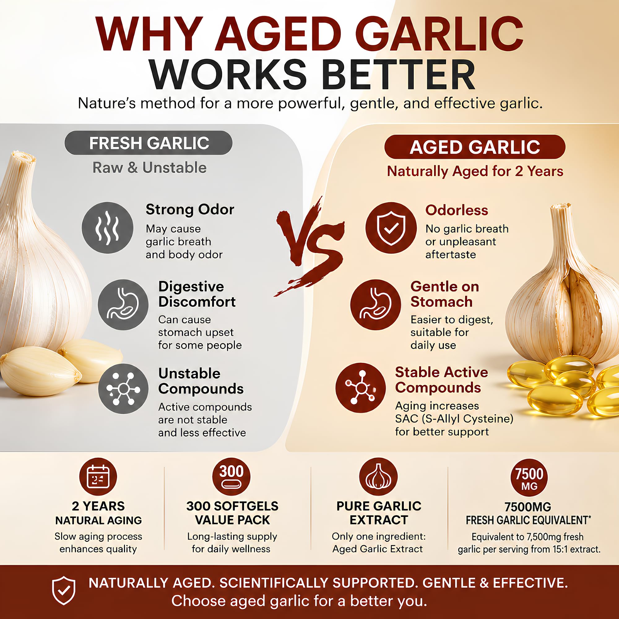 Odorless Garlic Extract Softgels for Heart & Immune Support


