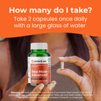 Infinite Age Sea Moss Capsules - Vegan Irish Sea Moss

