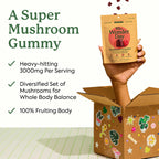 Plant People Mushroom Gummies WonderDay Immune & Mood Support

