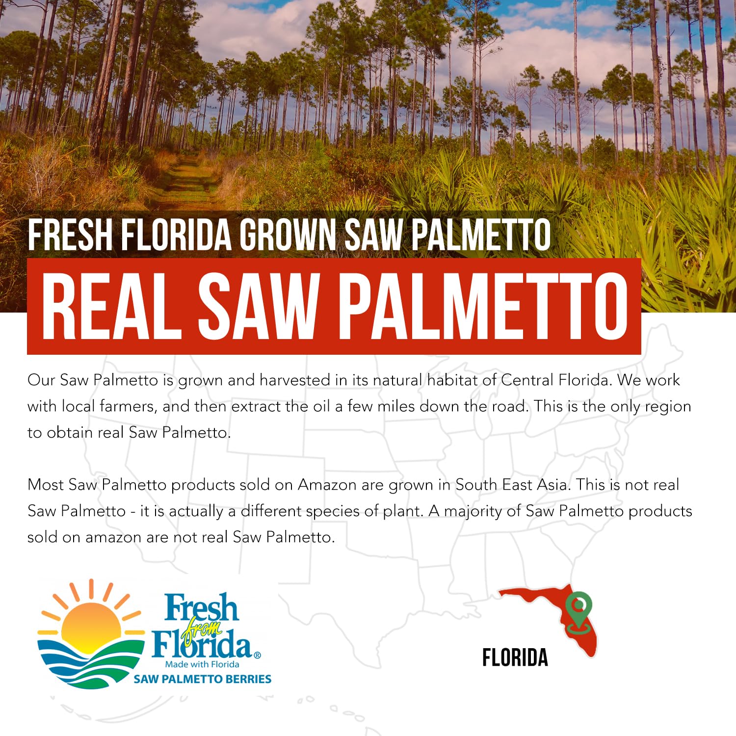 Saw Palmetto with Pumpkin Seed Oil Prostate Support

