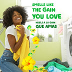 Gain Powder Laundry Detergent HE Safe

