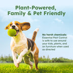 BugMD Pest Control Concentrate Spray|Fast Kill

