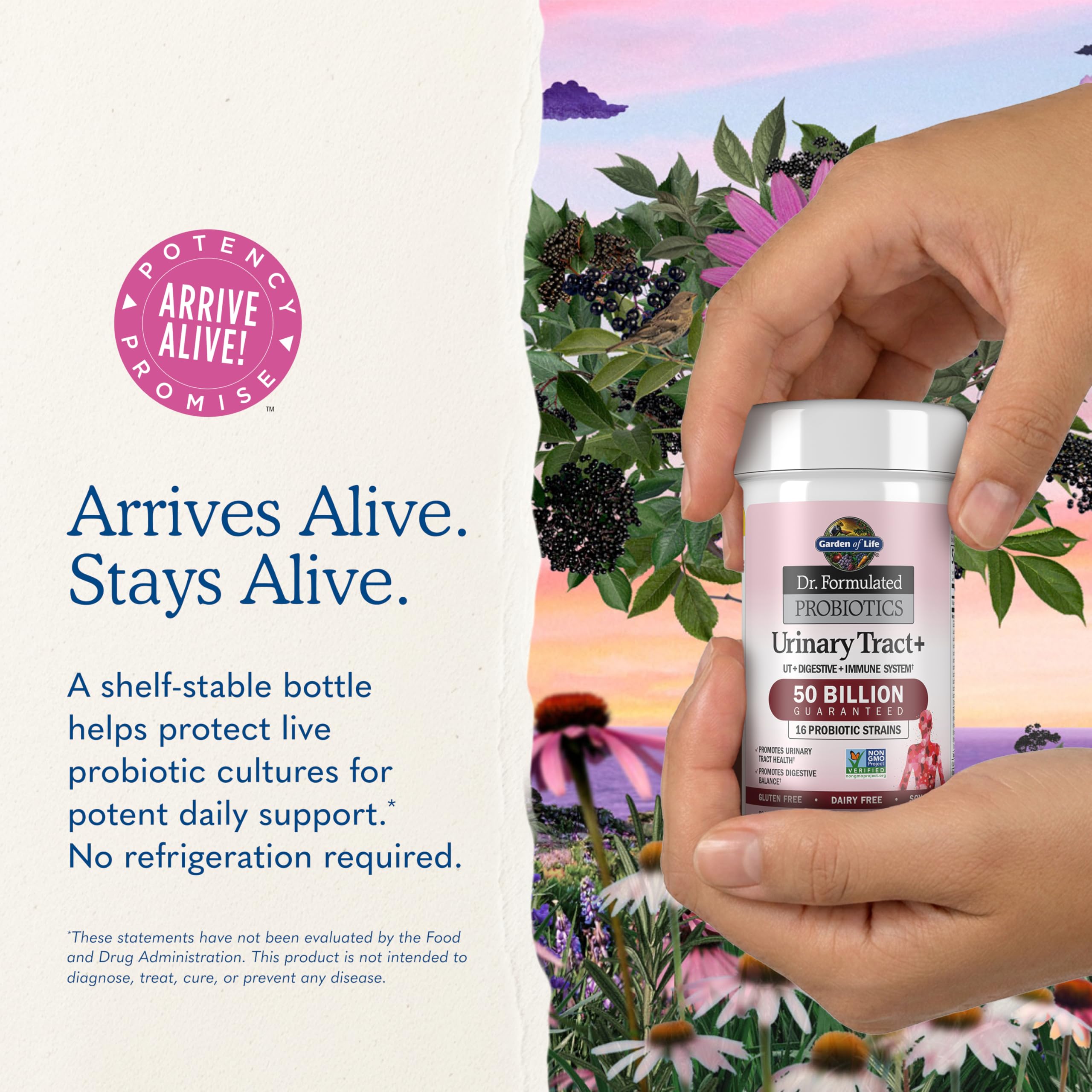 Garden of Life Urinary Tract Probiotics 50 Billion CFU

