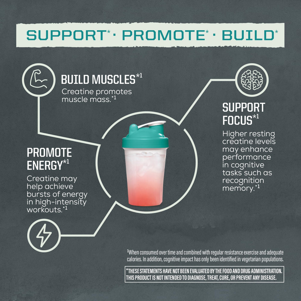 Sunwarrior Creatine Monohydrate Powder | Micronized

