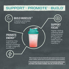 Sunwarrior Creatine Monohydrate Powder | Micronized

