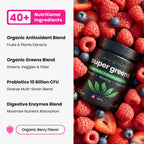 NutraChamps SuperGreens Powder - 40+ Superfoods & Probiotics

