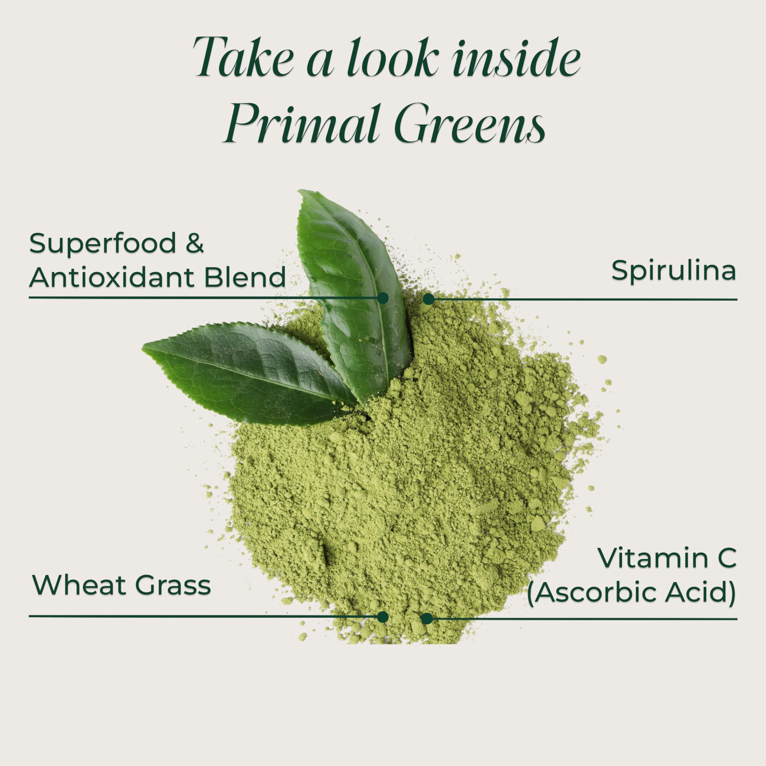 Primal Harvest Super Greens Powder for Energy


