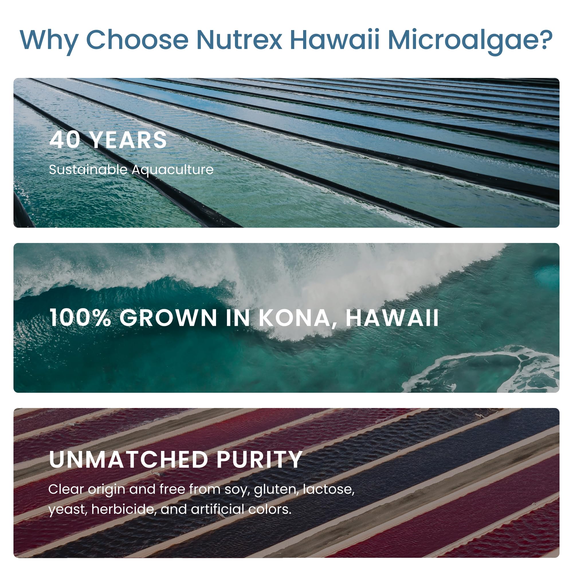 Nutrex Hawaii Pure Hawaiian Spirulina Powder - Vegan

