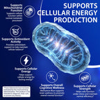 Methylene Blue Gummies for Cognitive Support - Vegan

