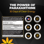 Paraxanthine Capsules by Enfinity | Clean Energy & Focus


