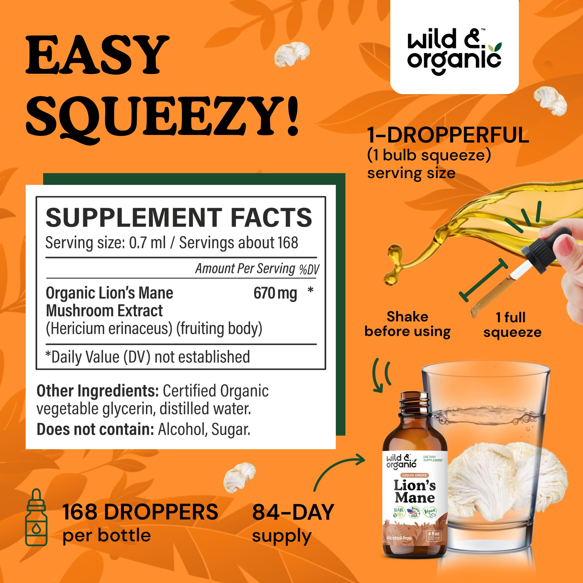 Lion's Mane Liquid Drops by Wild & Organic for Brain Support


