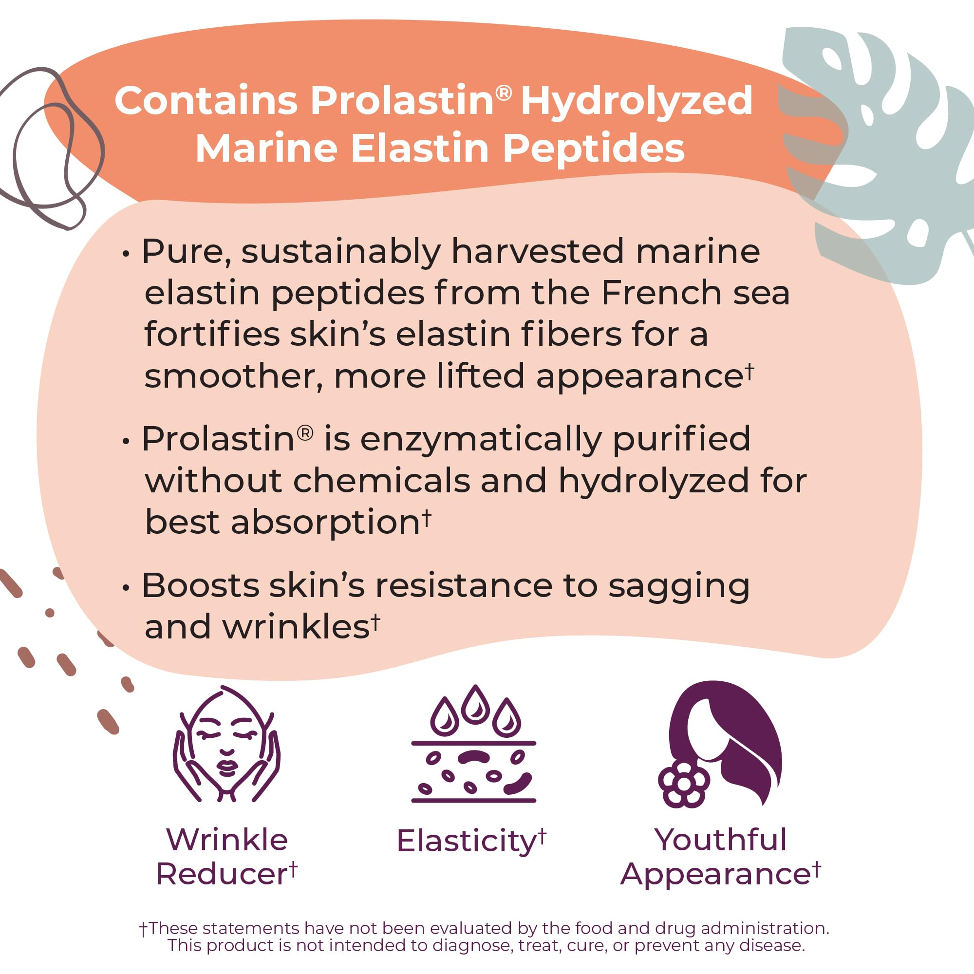 Body Kitchen Pro Elastin Peptides 1000mg - Skin Support

