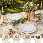 Disposable Plastic Plates with Rim for Parties

