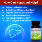 Hepagard Liver Support with NAC - Vegan & Non-GMO

