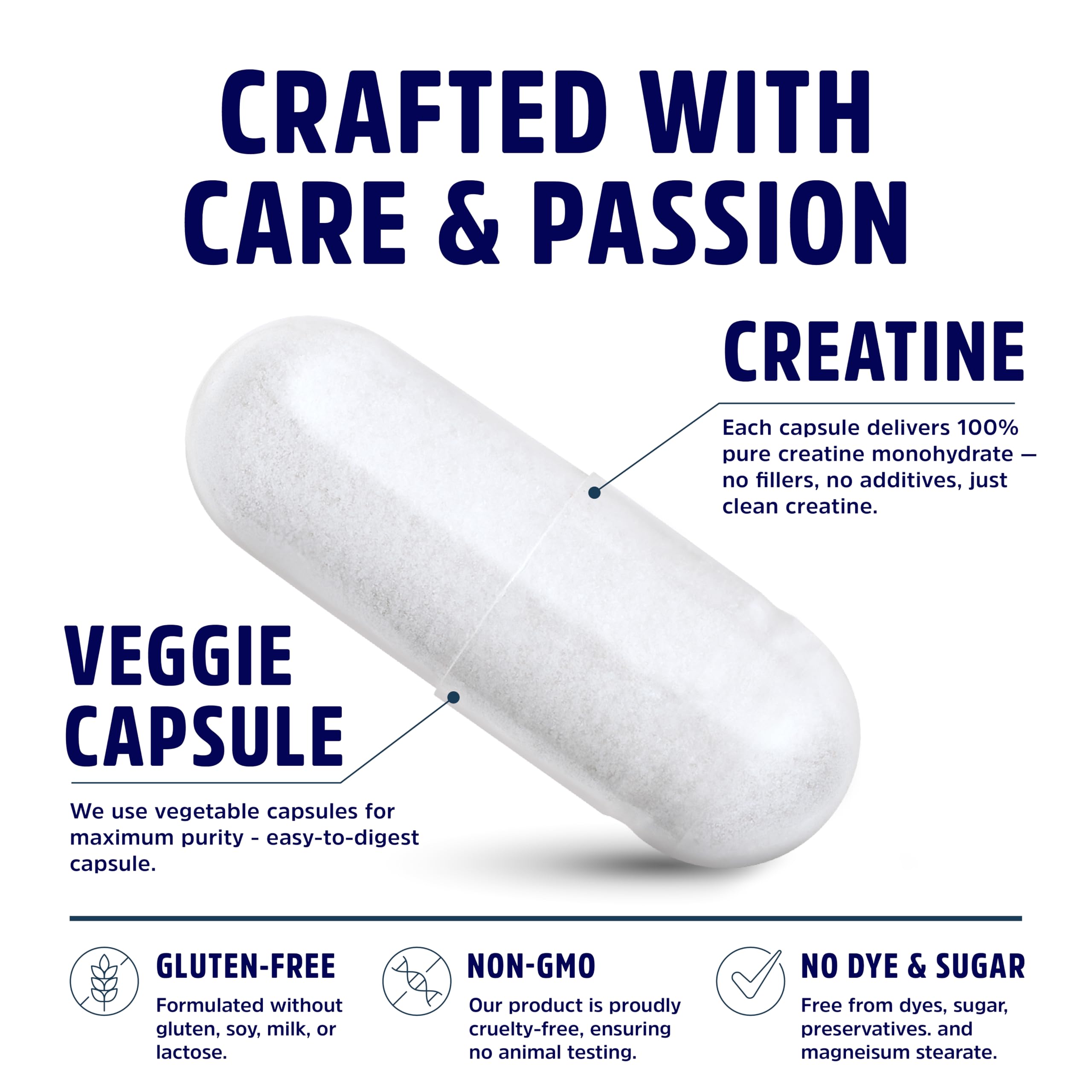 Creatine Monohydrate Micronized Supplement


