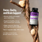 FreshCap Lion's Mane Capsules - 14:1 Organic Extract

