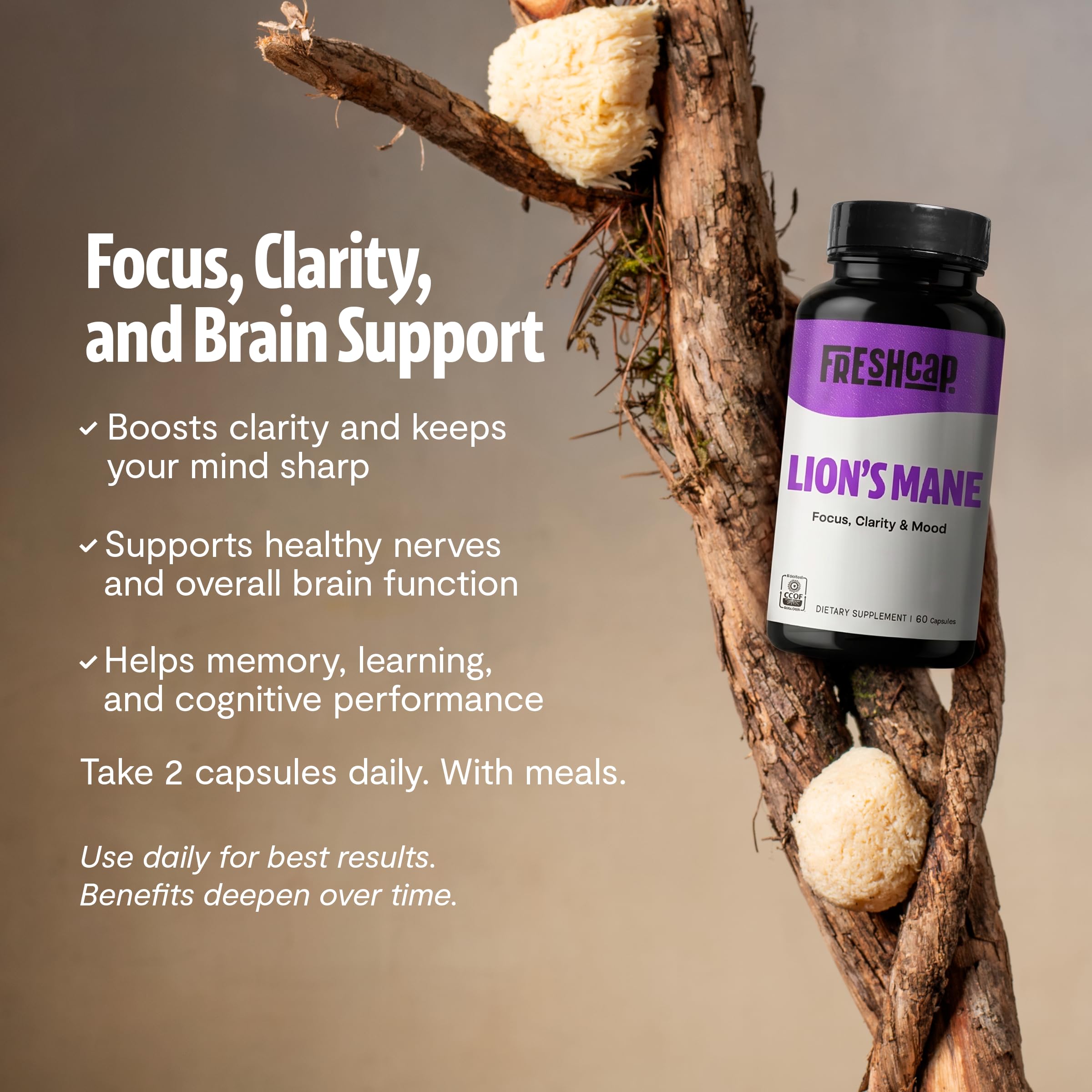 FreshCap Lion's Mane Capsules - 14:1 Organic Extract

