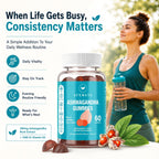 AFXMATE Daily Wellness Dietary Supplement

