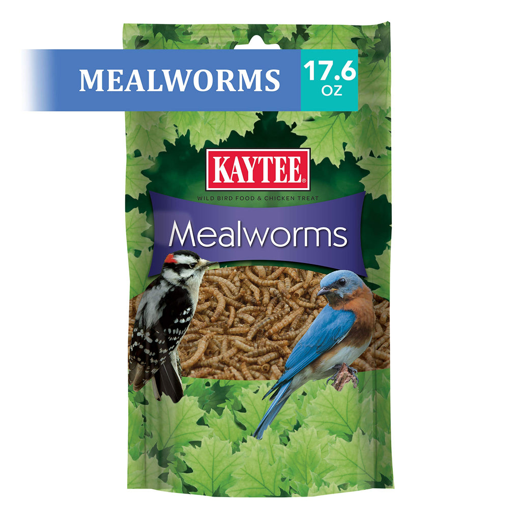 Kaytee Wild Bird Mealworms for Backyard Birds

