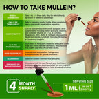 Mullein Drops for Lungs – USDA Organic Mullein Leaf Extract

