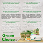 AIRNEX Natural Kitchen Sponges - Biodegradable Cellulose

