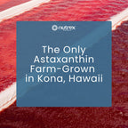 BioAstin Hawaiian Astaxanthin 12 mg | Nutrex Hawaii

