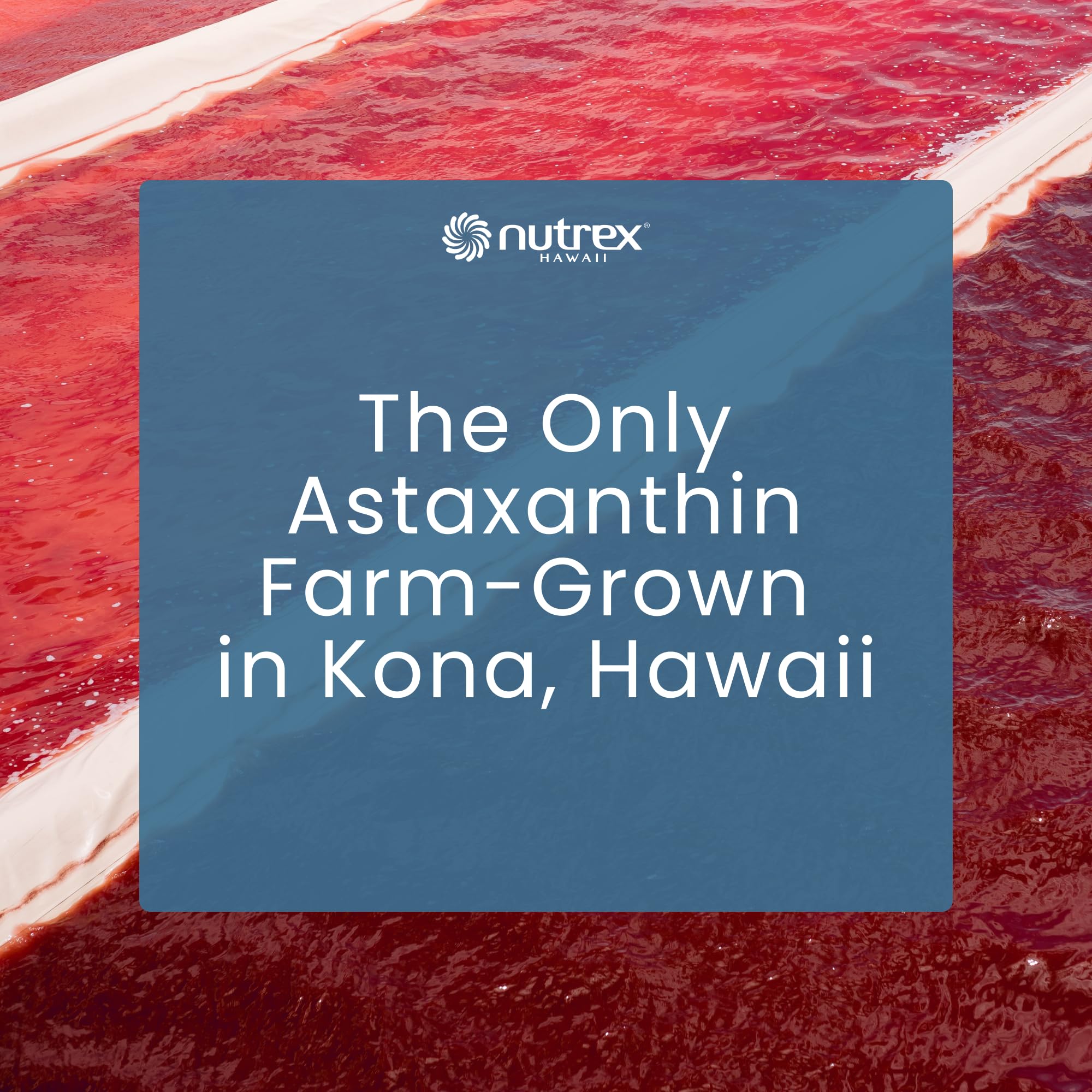 BioAstin Hawaiian Astaxanthin 12 mg | Nutrex Hawaii

