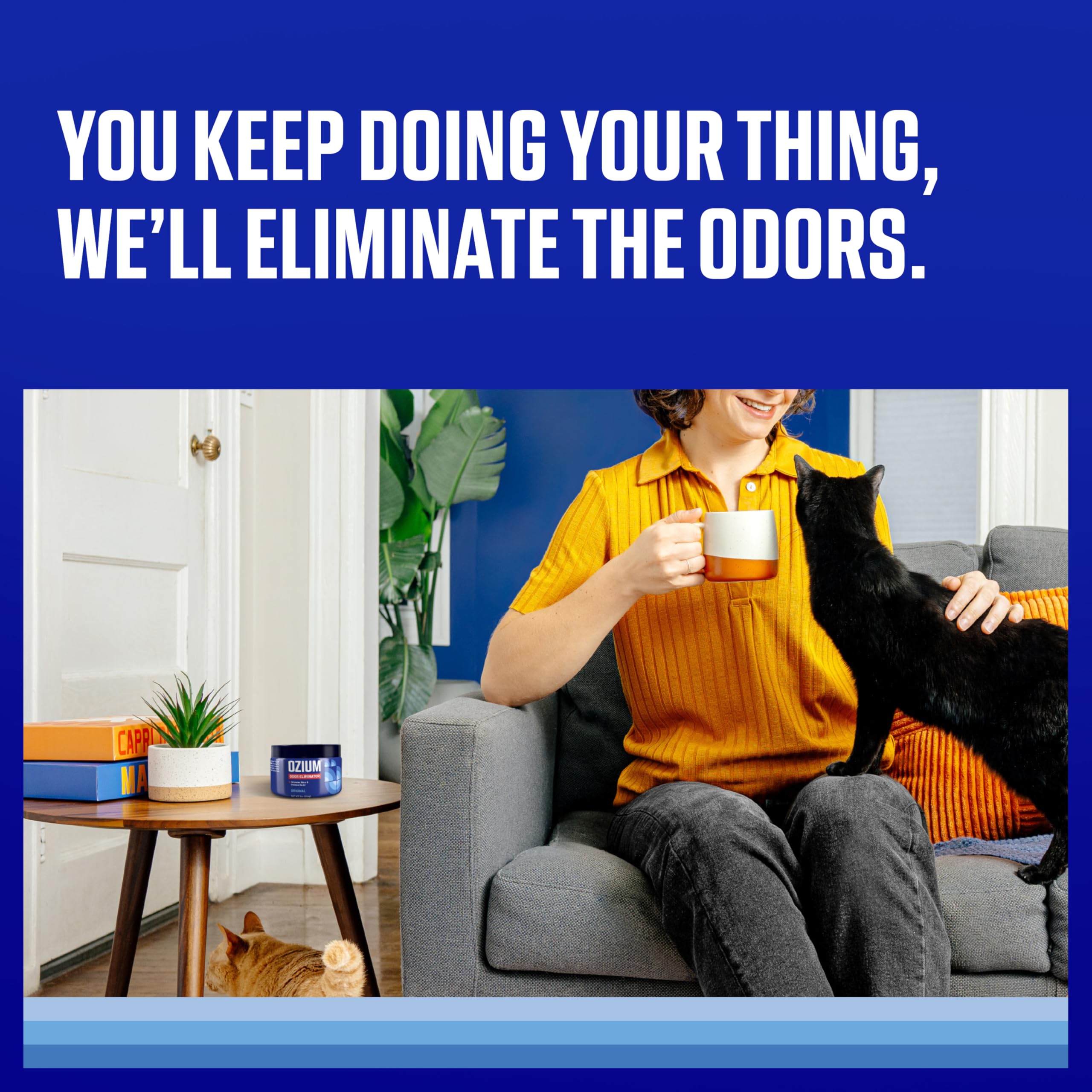 Ozium Odor Eliminating Gel for Homes and Cars

