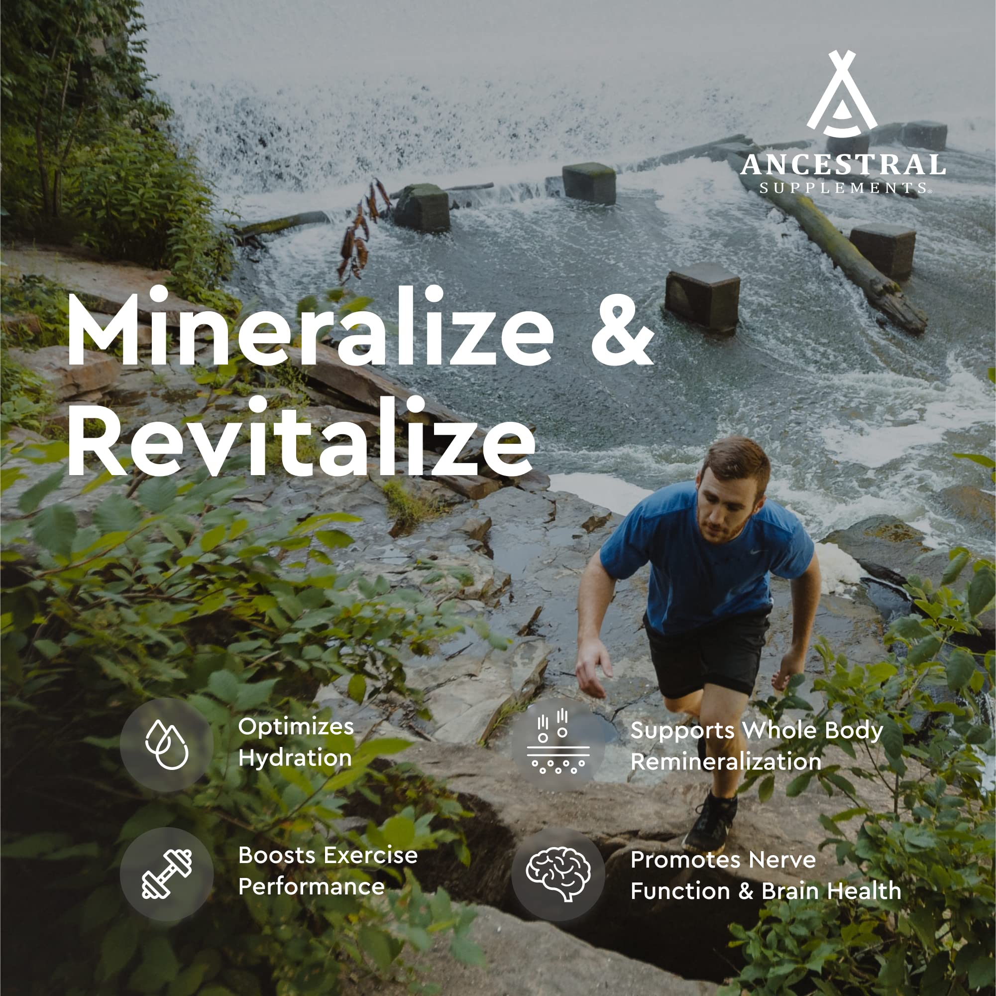 Ancestral Supplements Dietary Supplement

