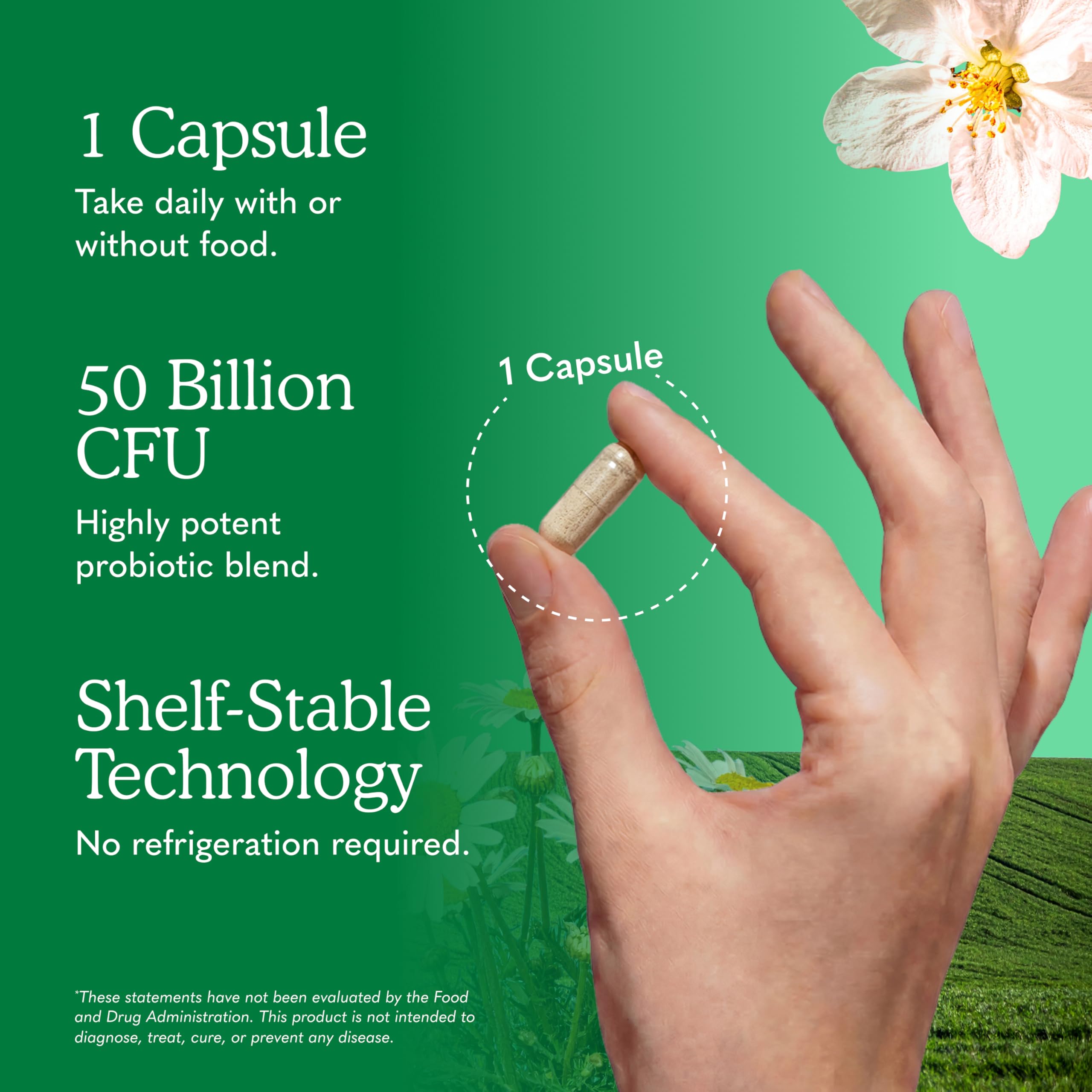 Garden of Life Raw Probiotics Colon Care

