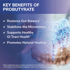Tesseract ProButyrate Gut Health Supplement

