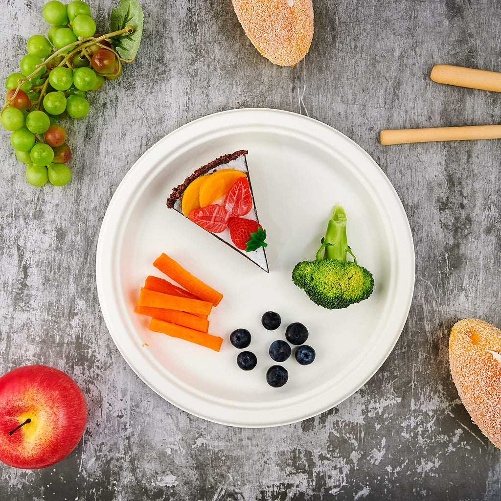 Vplus Compostable Disposable Dinner Plates

