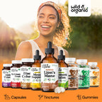 Lion's Mane Liquid Drops by Wild & Organic for Brain Support

