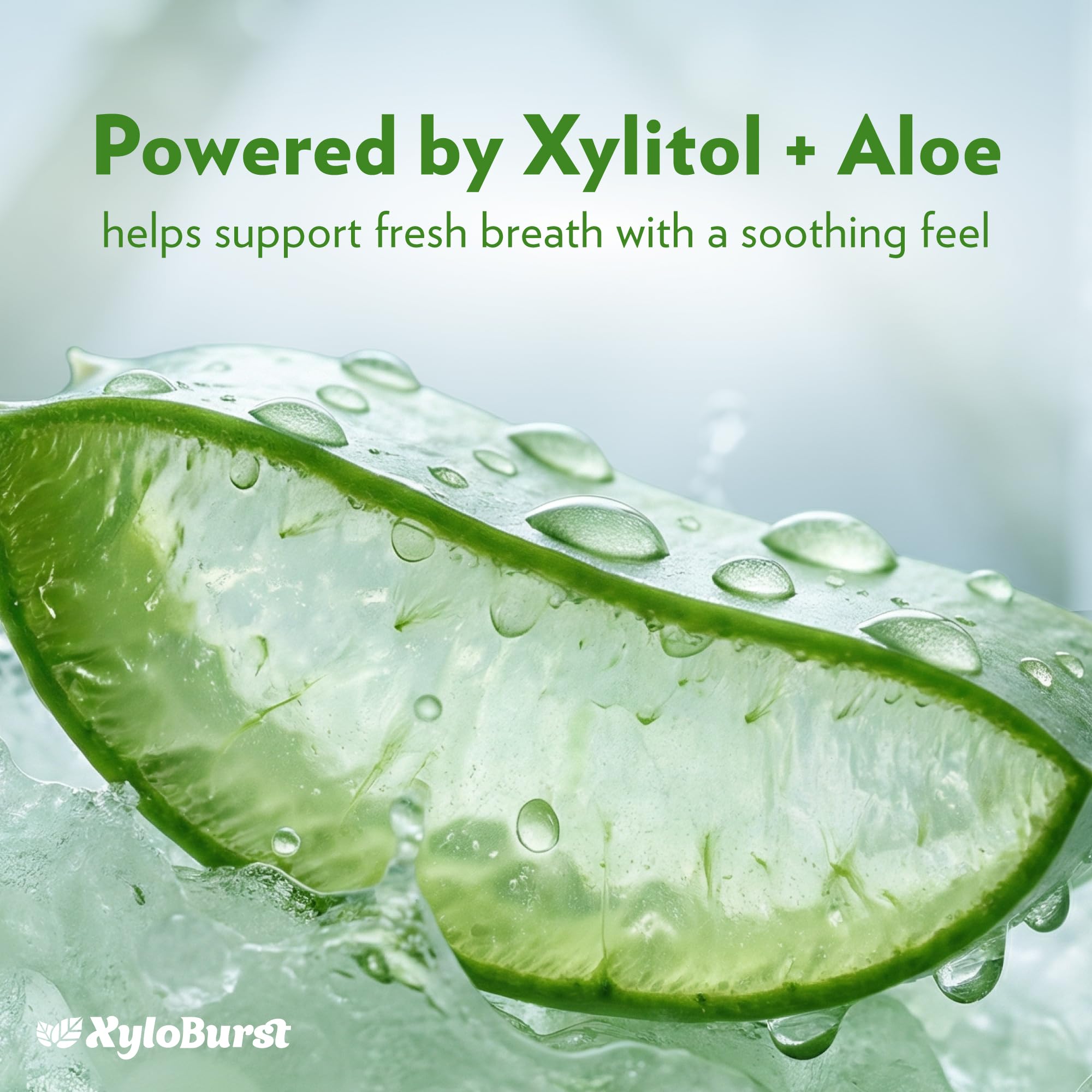 Xyloburst Xylitol Mouthwash - Alcohol-Free & Fluoride-Free

